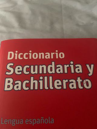 Diccionario Secundaria y Bachillerato. Lengua e...