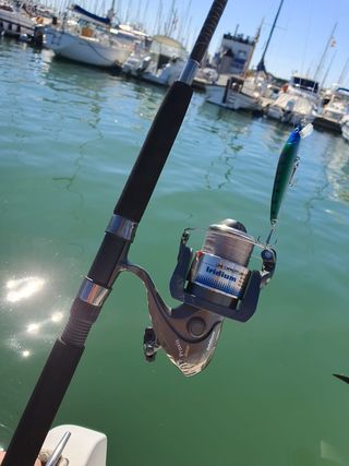 Equipo de pesca completo, CURRICAN, JIGGING, FONDO