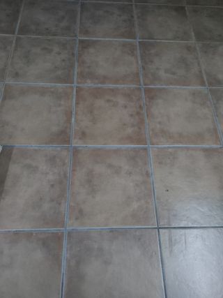 Lote completo de pavimento para suelo de primera