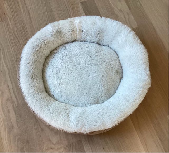 Cama redonda para mascota