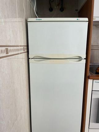 Nevera con congelador Aspes