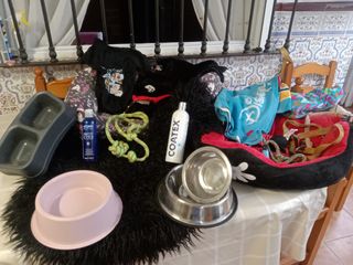 Set di accessori per cani