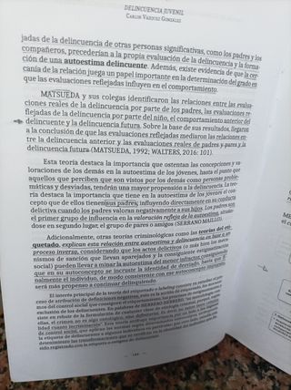 Delincuencia juvenil (Spanish Edition)
