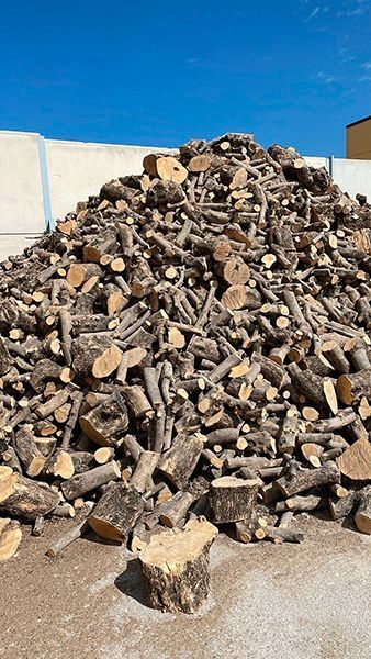 Saca de leña 60€  de Oliva y  encina reparto 