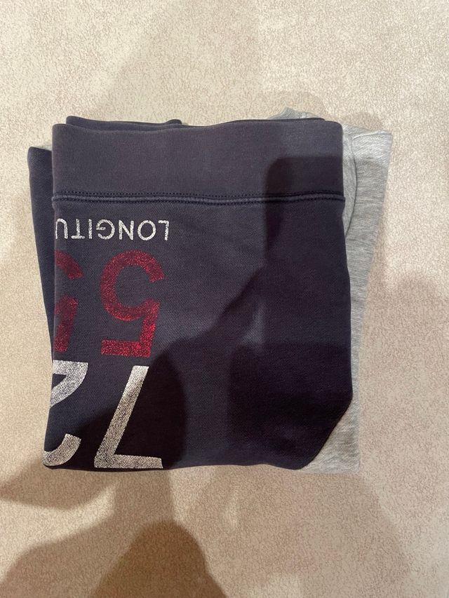 Sudadera Gant niño gris y azul