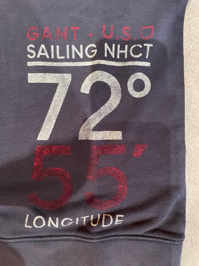 Sudadera Gant niño gris y azul