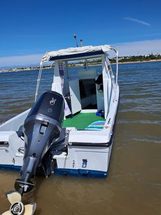 Dipol Albatros 6.15 con motor Yamaha 100cv