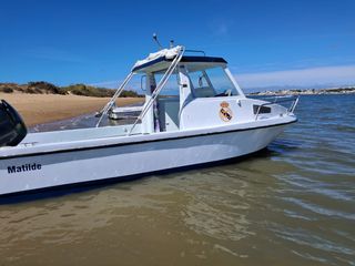 Dipol Albatros 6.15 con motor Yamaha 100cv