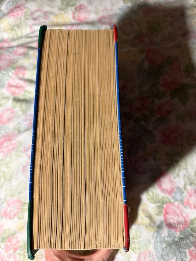 Dizionario della lingua italiana