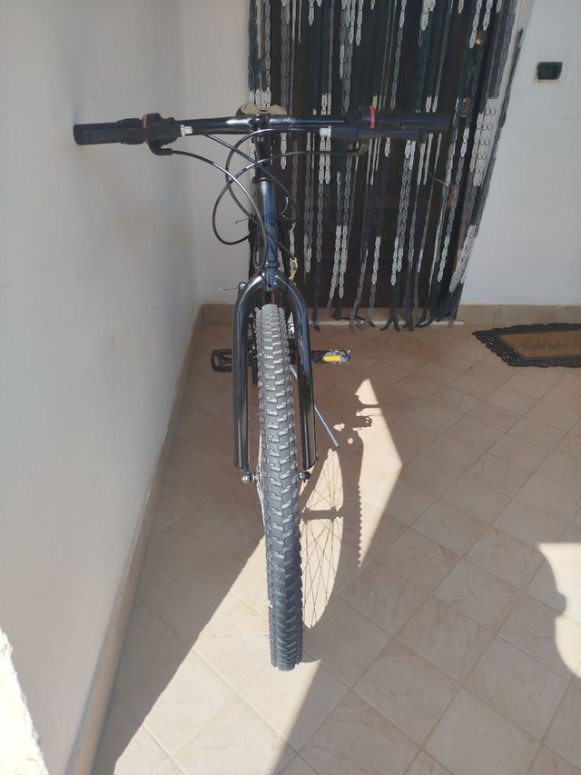 Bicicletta da città