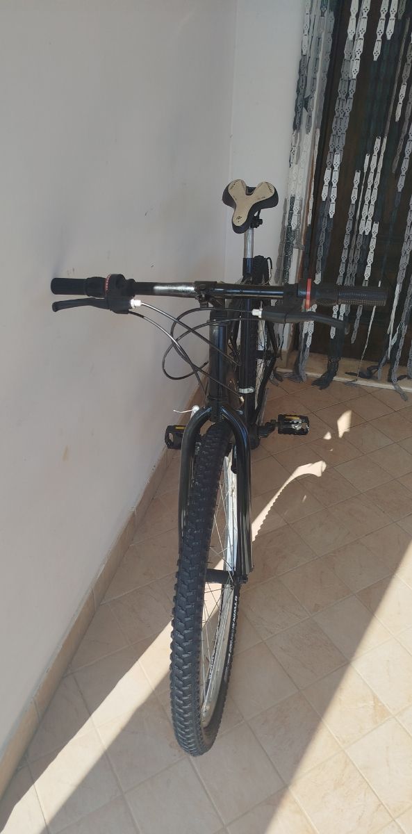 Bicicletta da città