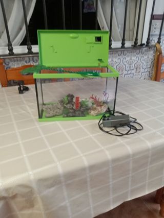 Pecera verde y transparente