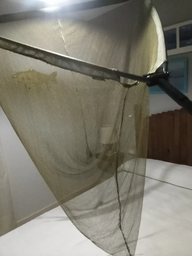 Sacadera Carpfishing de carbonoJCR j5000.501