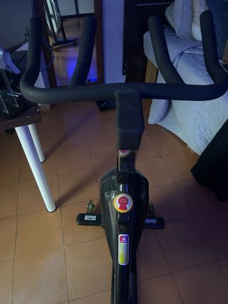 Bicicleta Spinning Horizon Fitness S3