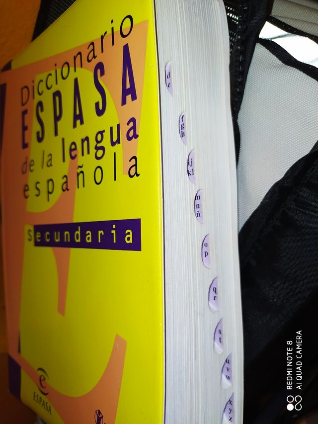 Diccionario español secundaria