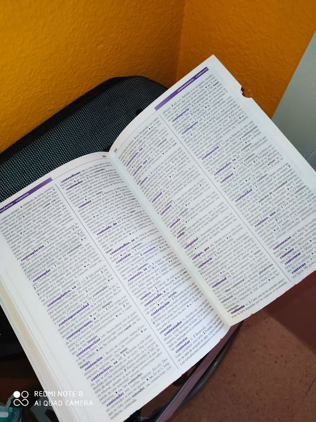 Diccionario español secundaria