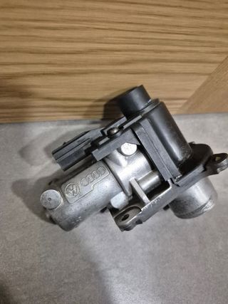 Válvula EGR Volkswagen Audi