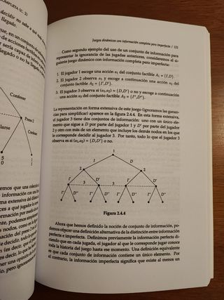 Un primer curso de teoría de juegos