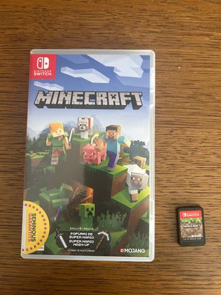 Minecraft Nintendo Switch