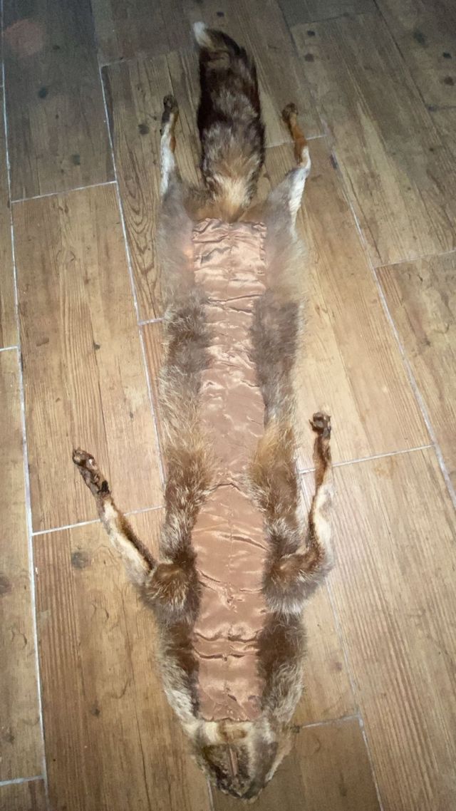 Cuello de zorro auténtico