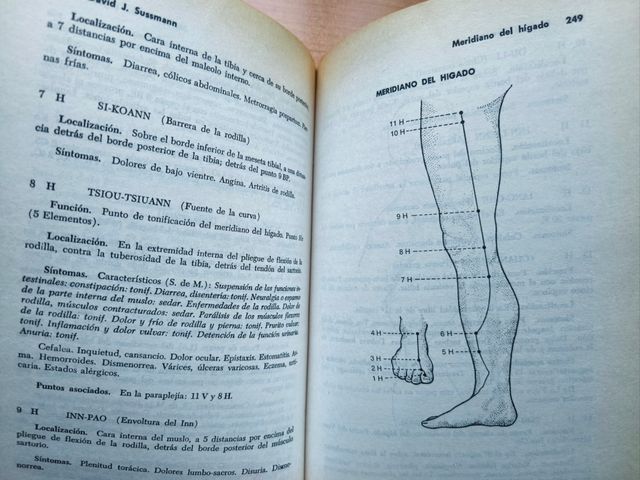 Acupuntura. Teoría y práctica