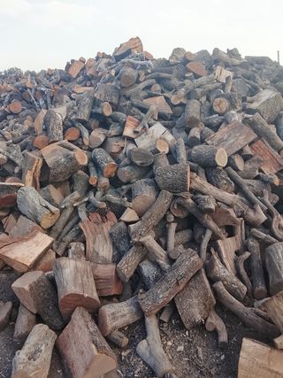 ENCINA SECA ( COLOCADA ) 0,17  PARA MADRID