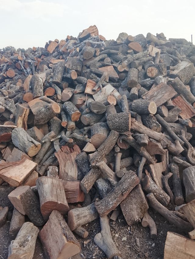 ENCINA SECA ( COLOCADA ) 0,17  PARA MADRID