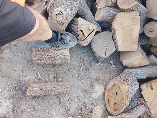 ENCINA SECA ( COLOCADA ) 0,17  PARA MADRID