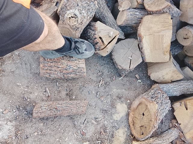 ENCINA SECA ( COLOCADA ) 0,17  PARA MADRID