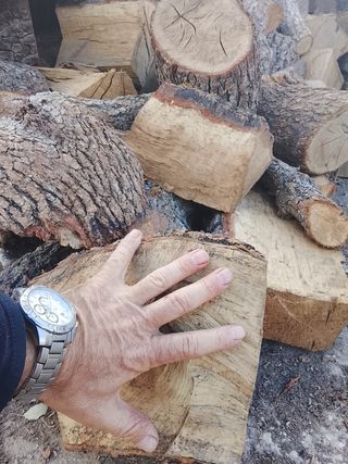 ENCINA SECA ( COLOCADA ) 0,17  PARA MADRID