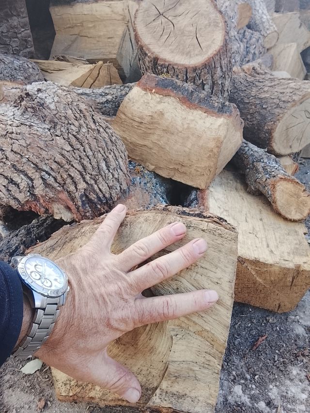 ENCINA SECA ( COLOCADA ) 0,17  PARA MADRID