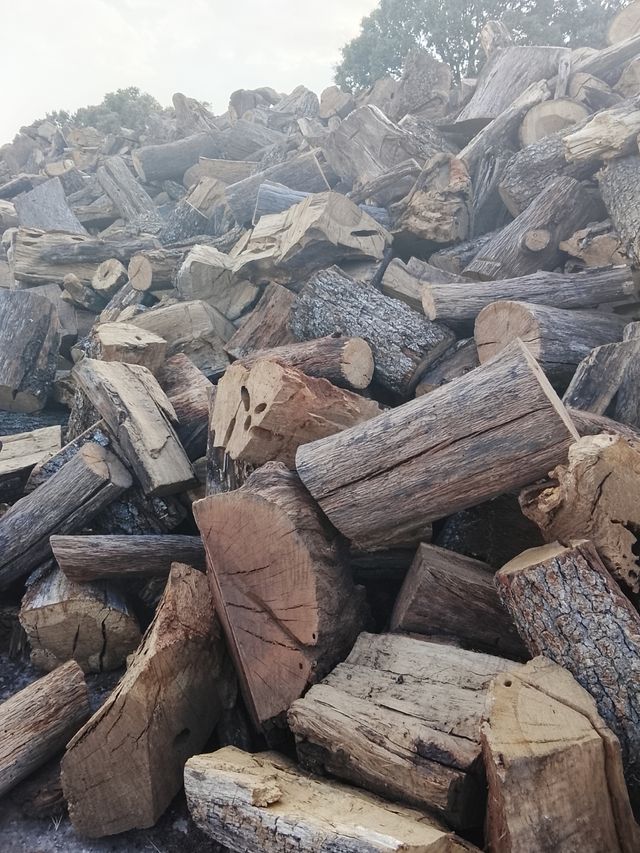 ENCINA SECA ( COLOCADA ) 0,17  PARA MADRID