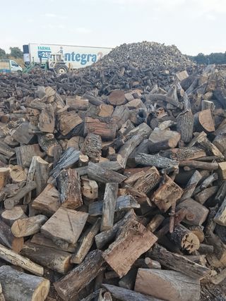 ENCINA SECA ( COLOCADA ) 0,17  PARA MADRID