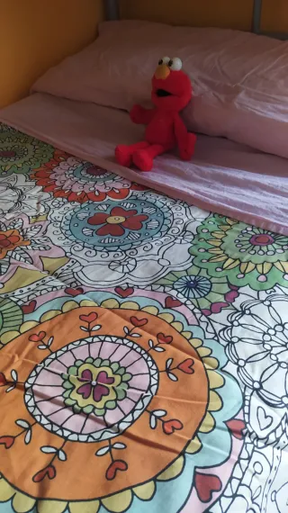 Litera metálica con cama nido+ colchones.