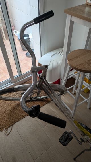 Bicicleta Gazelle Holandesa Paseo