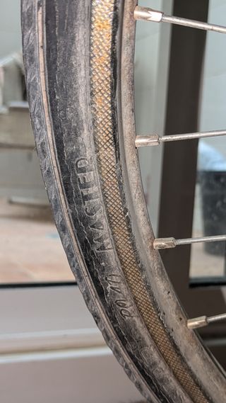 Bicicleta Gazelle Holandesa Paseo