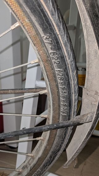 Bicicleta Gazelle Holandesa Paseo