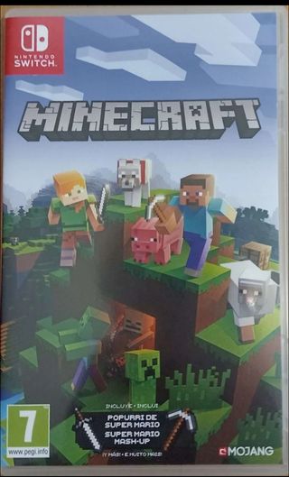 Minecraft Nintendo Switch