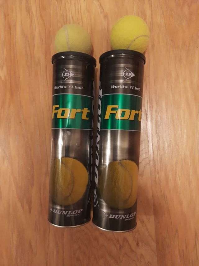 10 Pelotas de Tenis Dunlop Fort