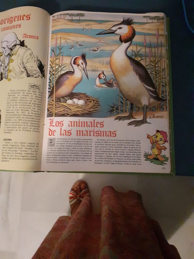 El libro gordo de Petete