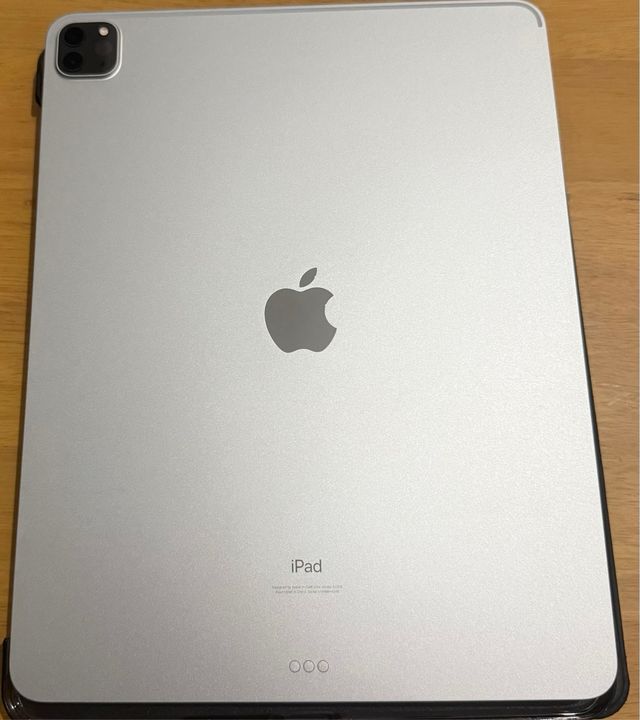 iPad Pro 5ª Gen 512GB Plata