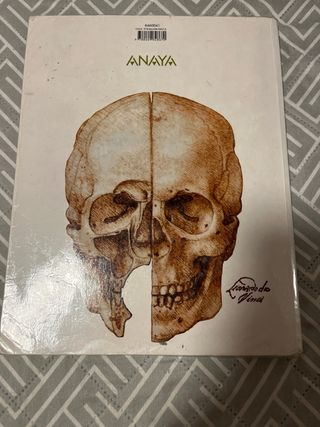 Anatomía Aplicada.