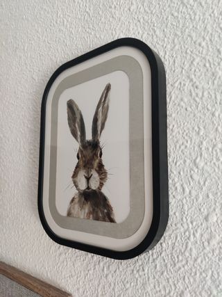Pintura acuarela, cuadro, dibujo de conejo