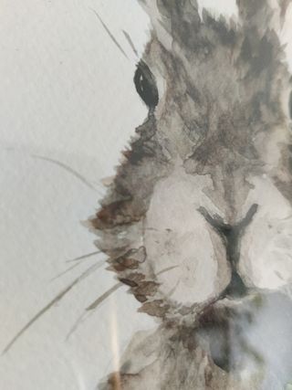 Pintura acuarela, cuadro, dibujo de conejo
