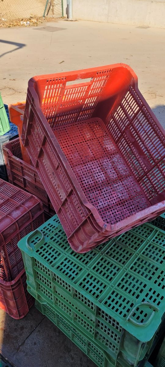 Cajas plástico fruta