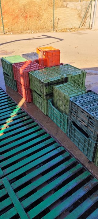 Cajas plástico fruta