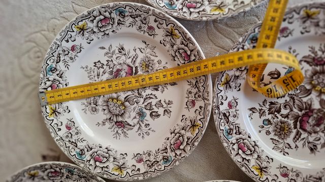 5 Pratos Antigos Cesol Florais