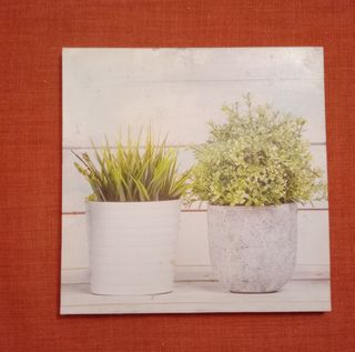 Láminas Decorativas Impresas