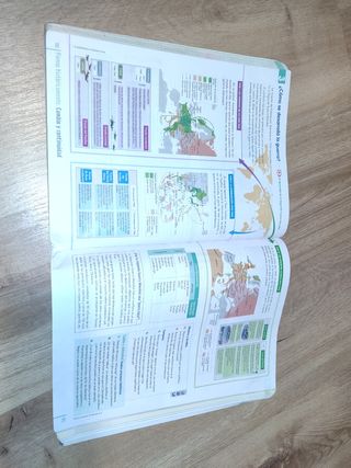 Libro 4 Eso Geografía en Red GH.
Vicenvives