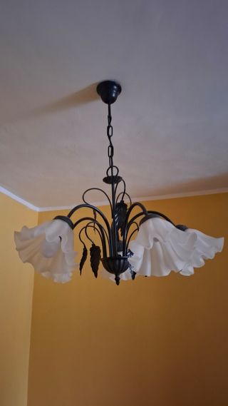 Lámpara de techo de 5 luces.